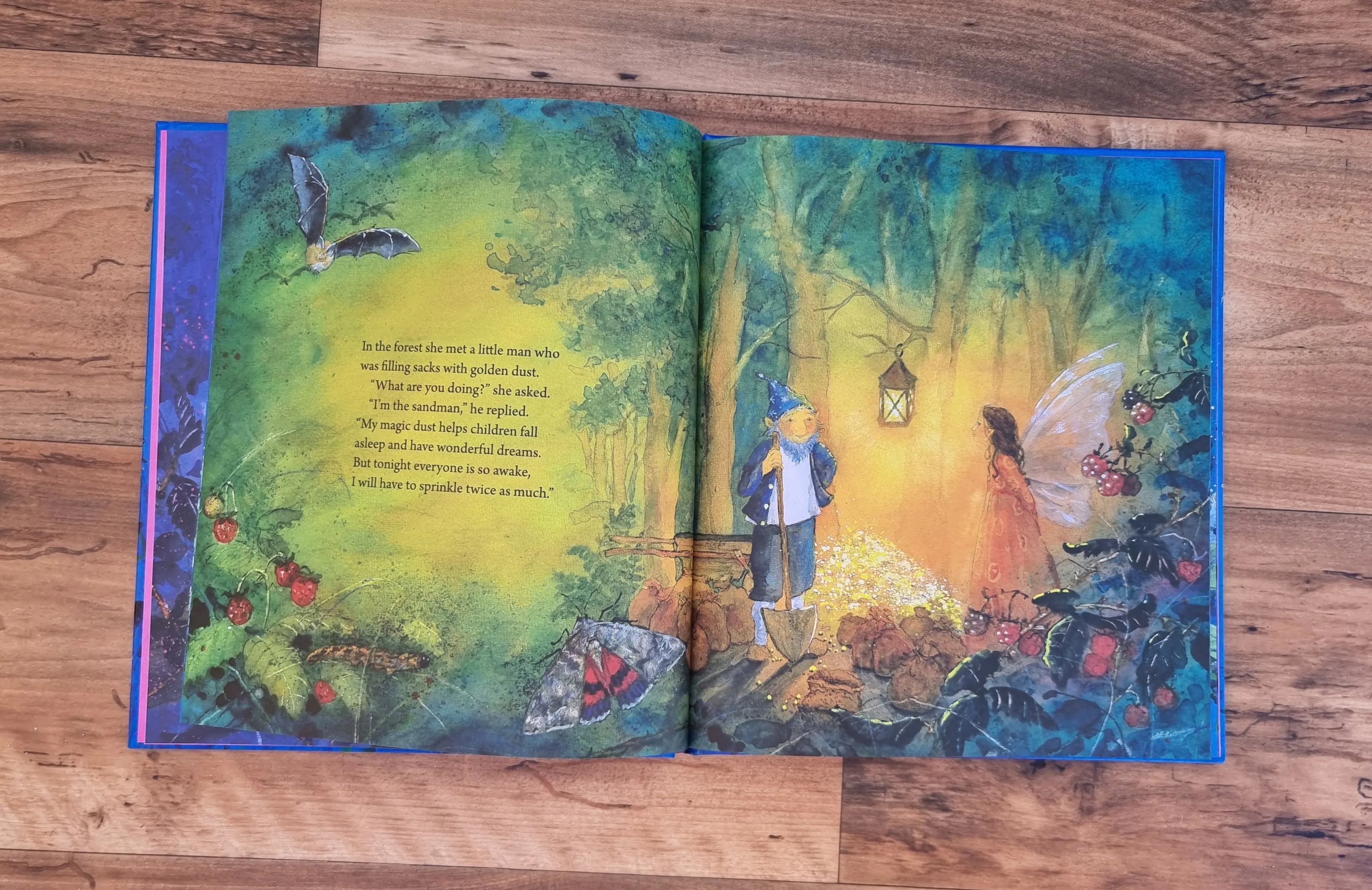 Little Fairy Can't Sleep, Daniela Drescher
