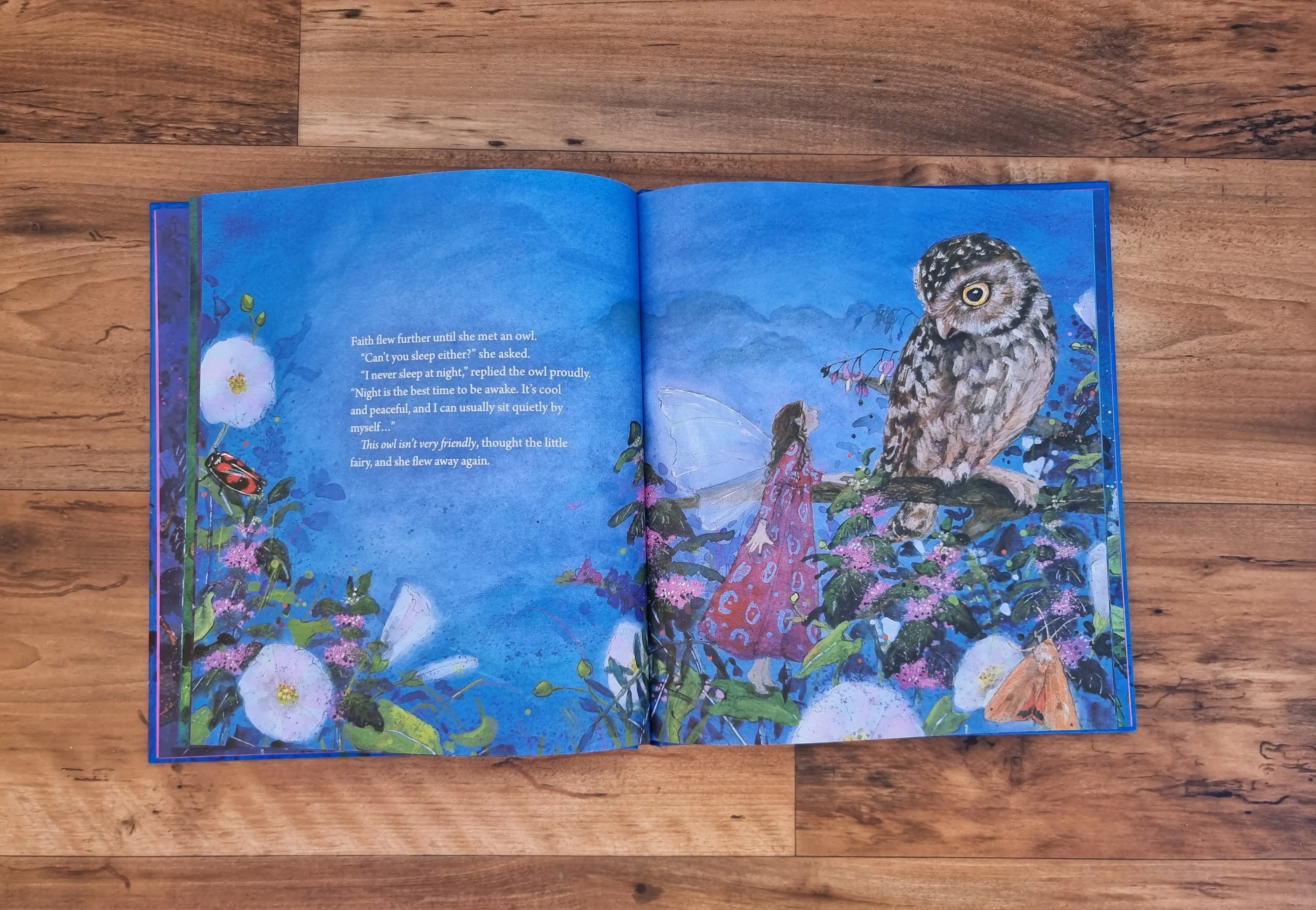 Little Fairy Can't Sleep, Daniela Drescher