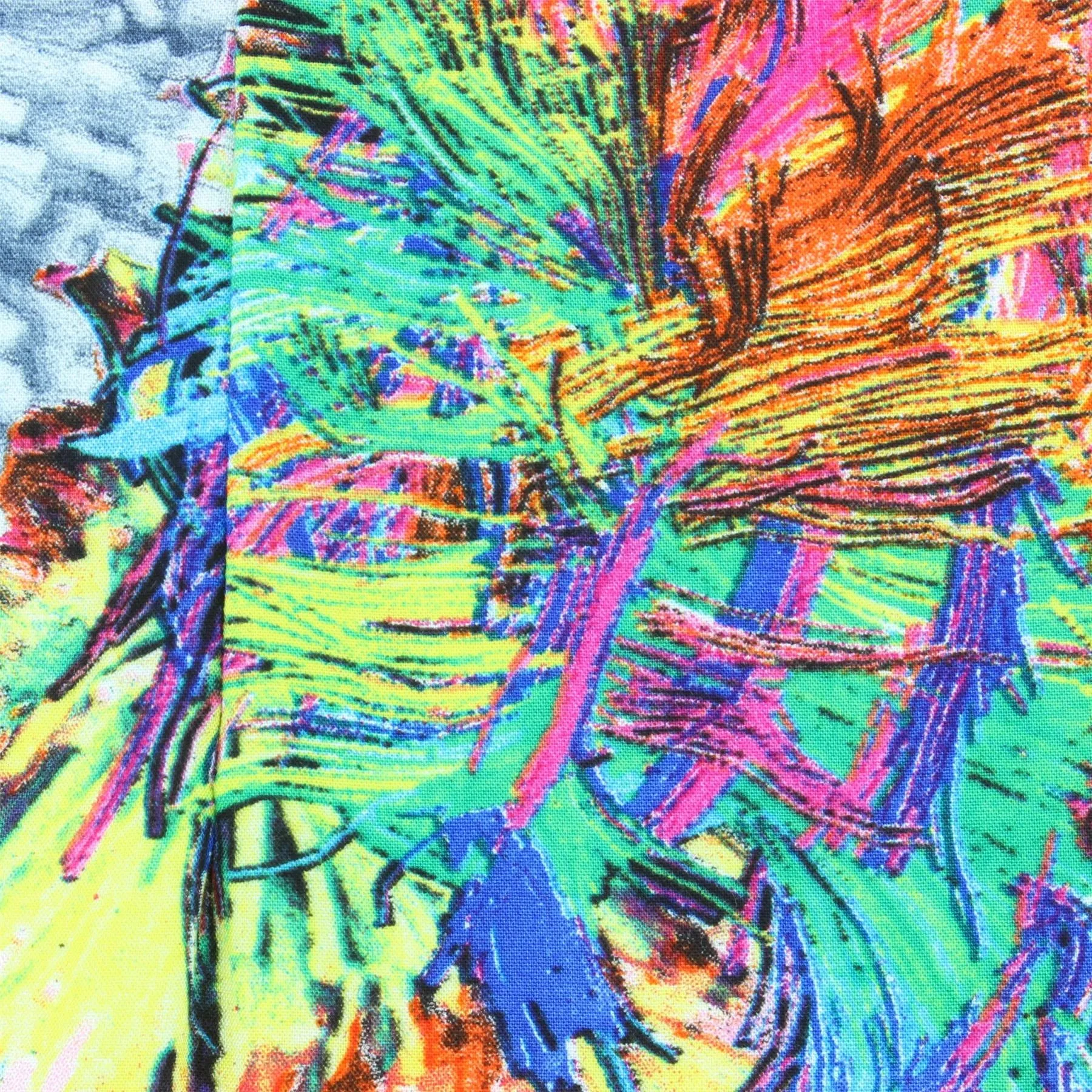 Slim Fit Short Sleeve Shirt - Neon Splash